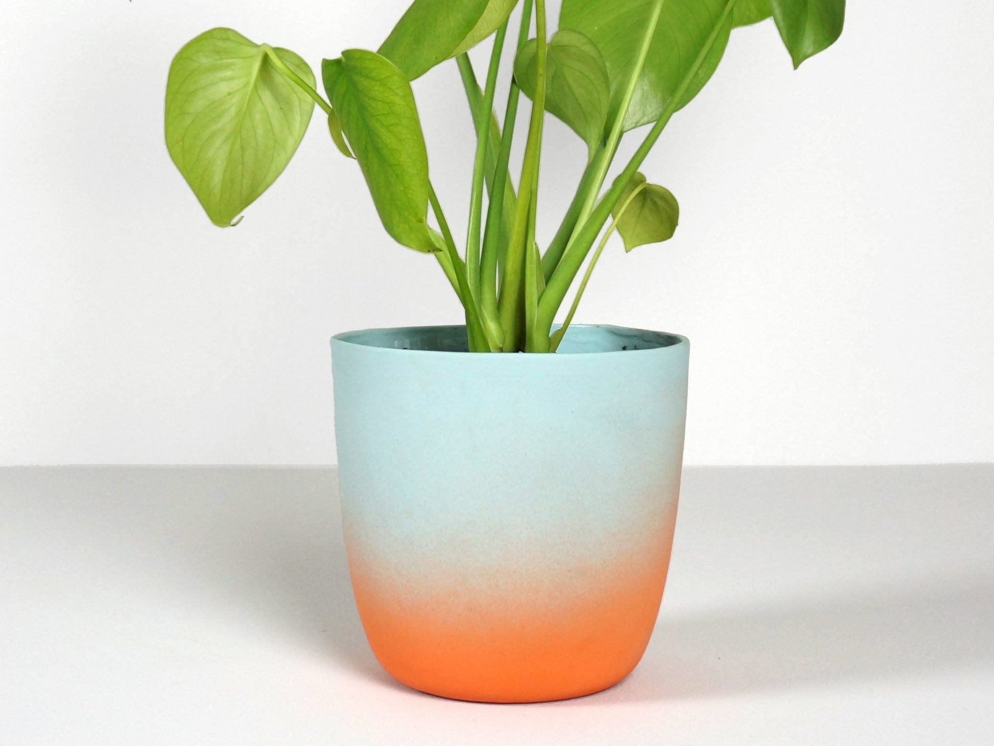 Sunset Flowerpot Emerald Demeter
