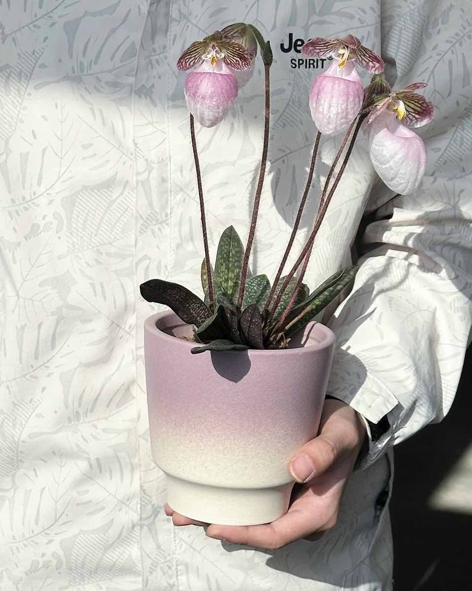 handmade ceramic planters Inspecial Home