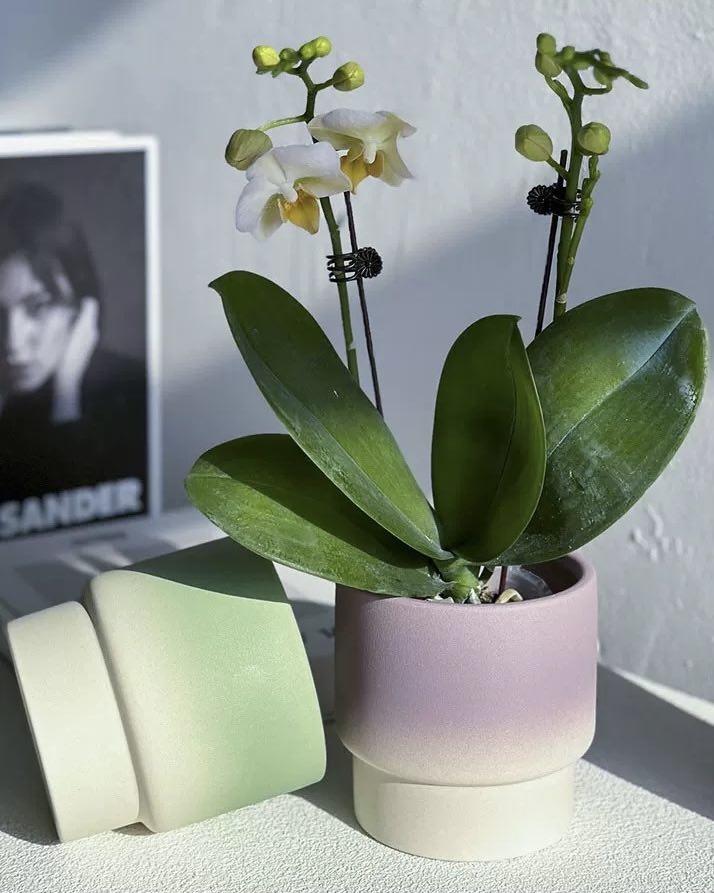 handmade ceramic planters Inspecial Home