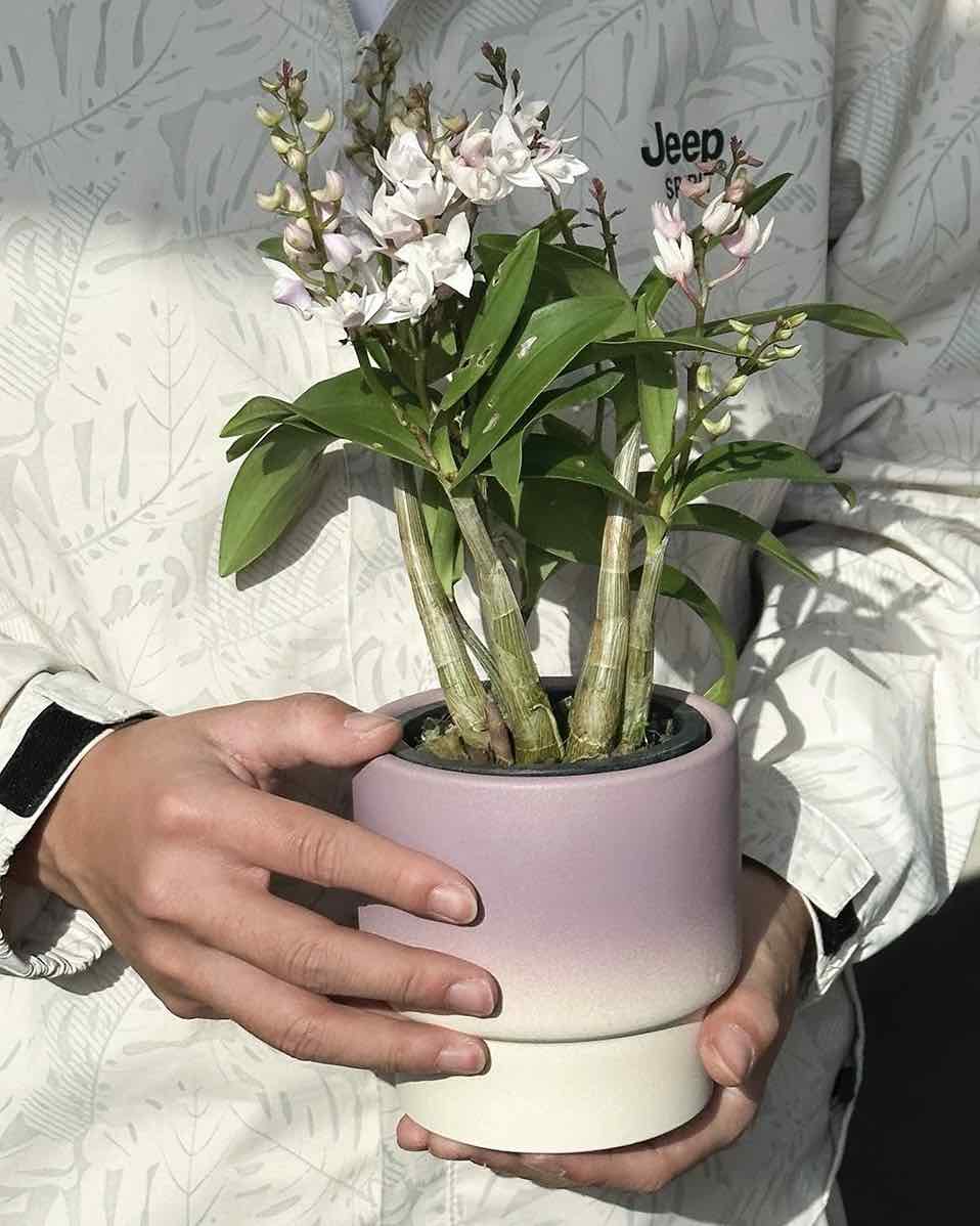 handmade ceramic planters Inspecial Home