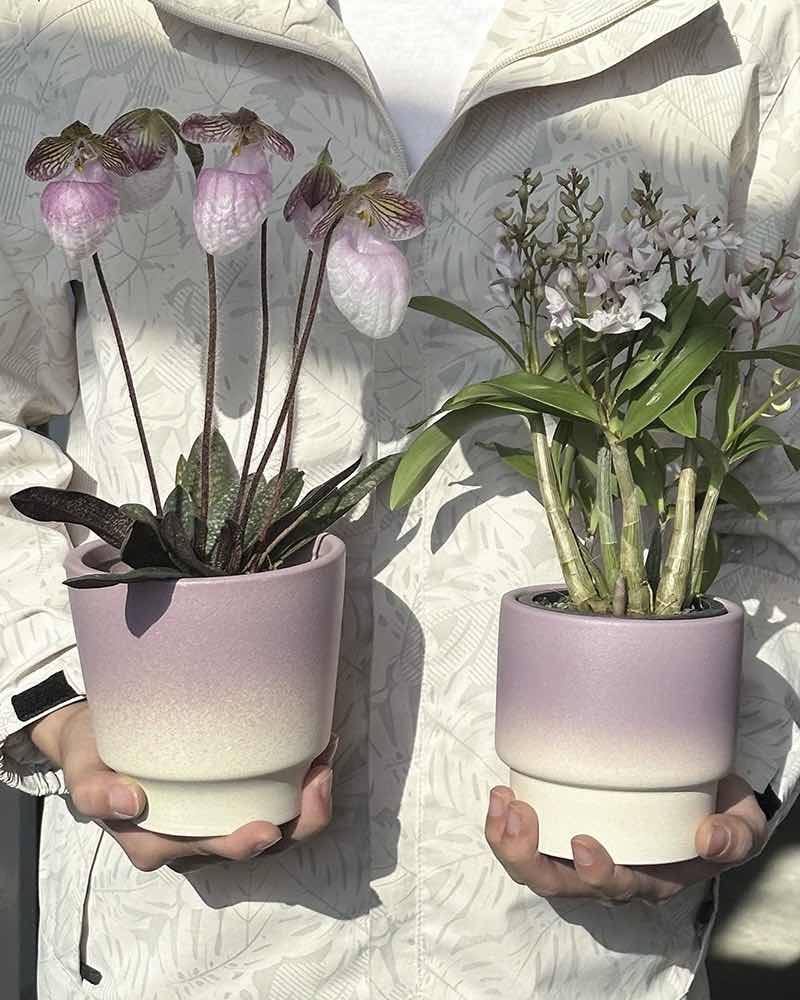 handmade ceramic planters Inspecial Home
