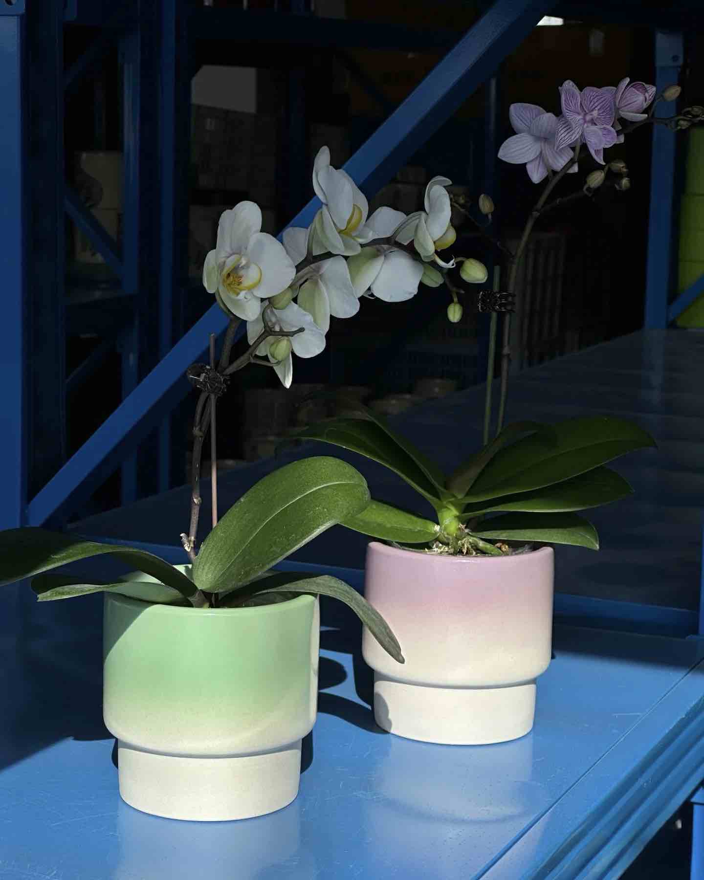 handmade ceramic planters Inspecial Home
