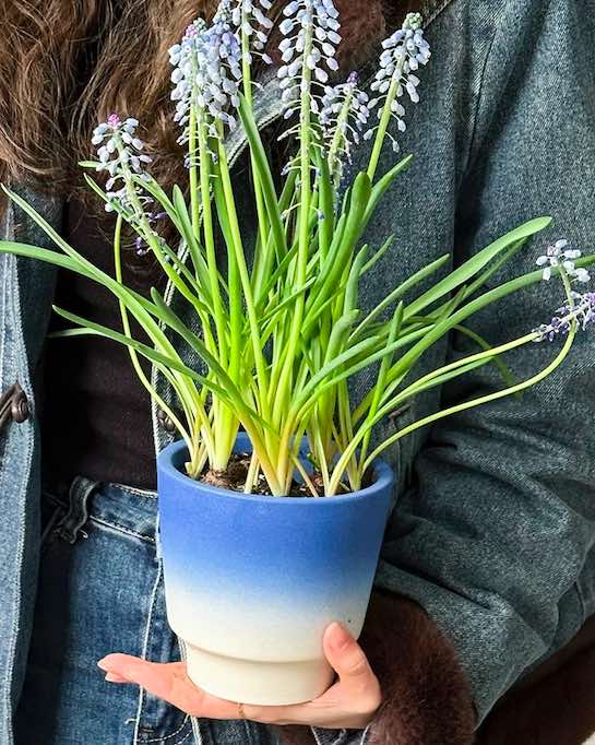 handmade ceramic planters Inspecial Home