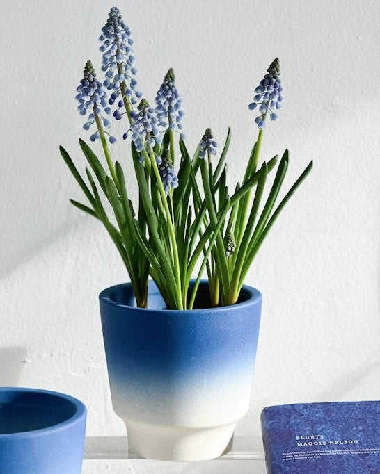 handmade ceramic planters Inspecial Home